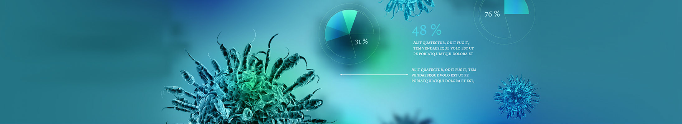 banner-2.png