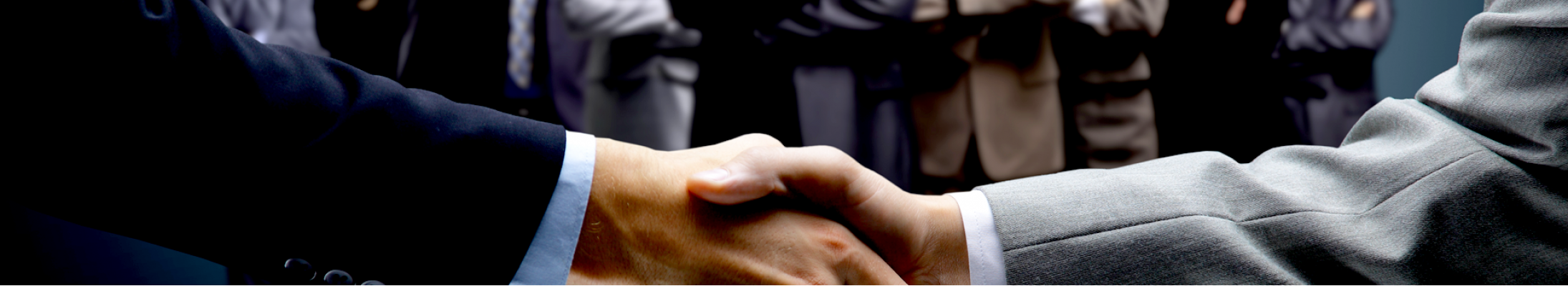 banner-7.png